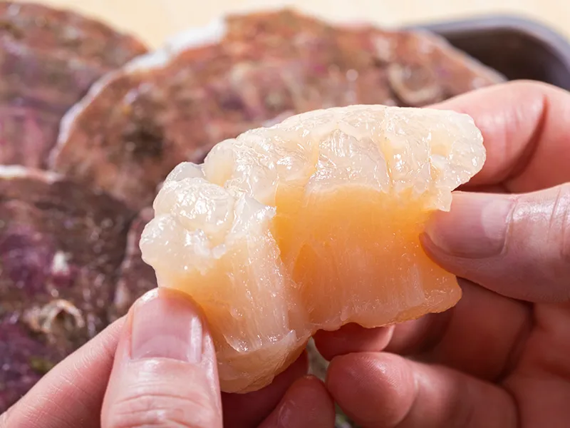 繊維がしっかり、サクッと甘い貝柱