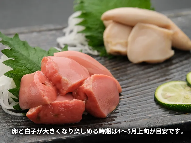 春だけの楽しみ、濃厚な卵ととろりと甘い白子
