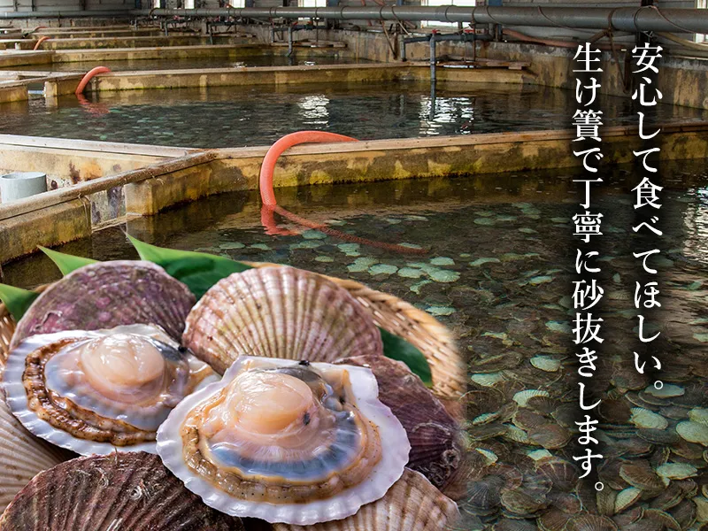 殻付きだからこそ、砂抜きを丁寧に