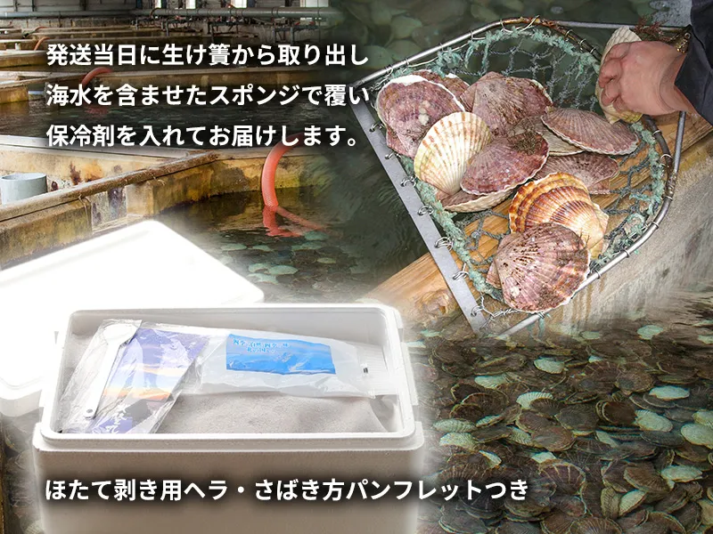 発送当日に生簀から取り出して梱包