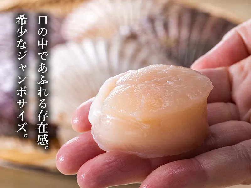 厚みと存在感を楽しむジャンボサイズ