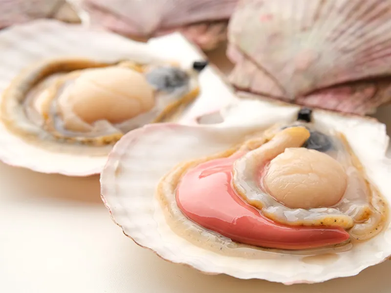 卵や白子がふっくら育った春のさるふつ産活ほたて