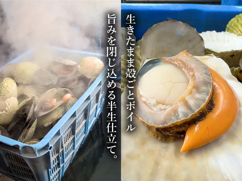 生きたほたてを殻ごとボイルして半生に仕立てる工程
