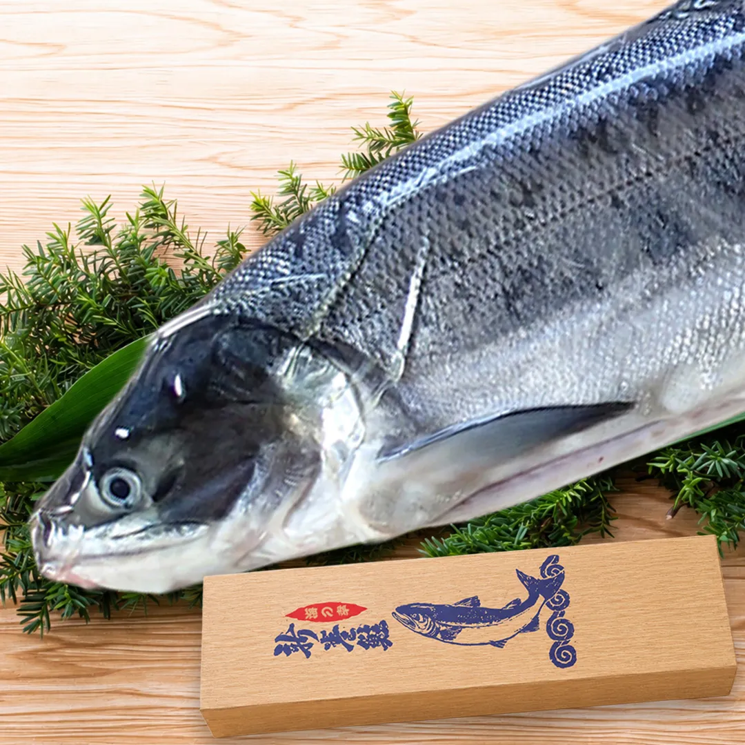 北海道の新巻鮭・めじか鮭・いくら通販｜北隆丸｜オホーツク活魚ネット