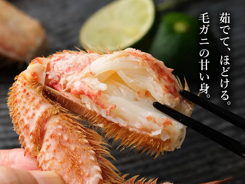 細かな繊維がほどける茹でた毛ガニの脚肉