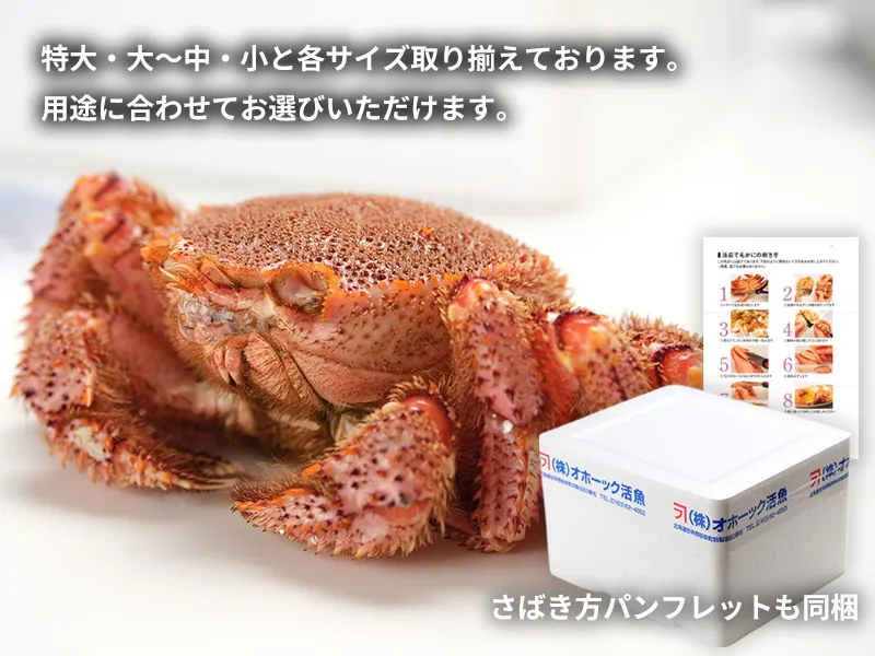 選べる大きさの活毛ガニをご自宅用や贈り物としてお届け