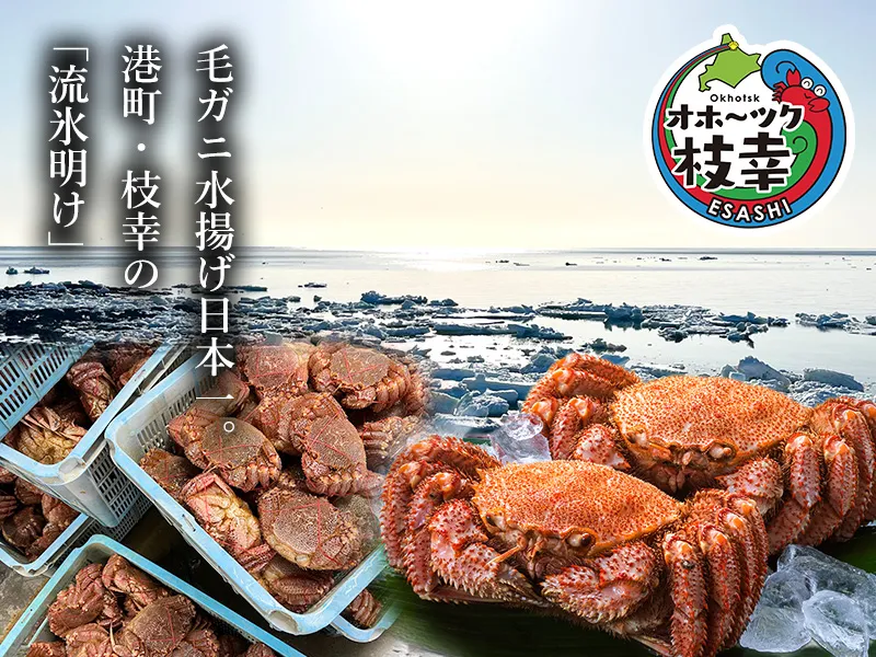 毛ガニ水揚げ日本一。港町・枝幸の流氷明け