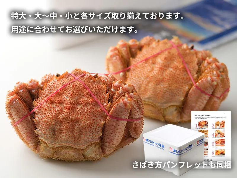 選べる大きさの毛ガニをご自宅用や贈り物としてお届け