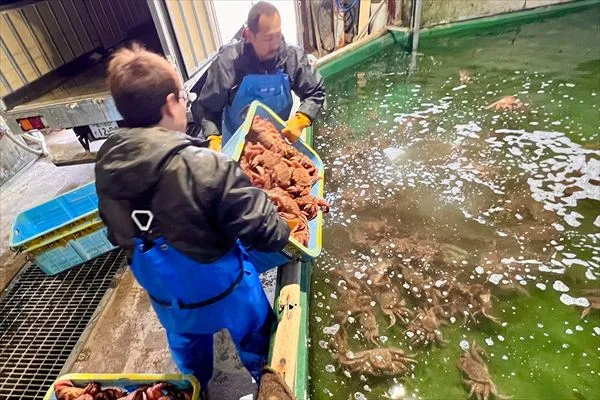 枝幸町にあるオホーツク活魚の加工・蓄養施設