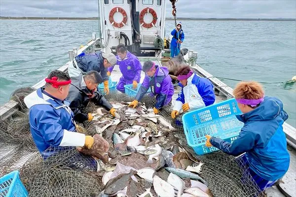 北オホーツクの定置網で水揚げされるさまざまな魚介