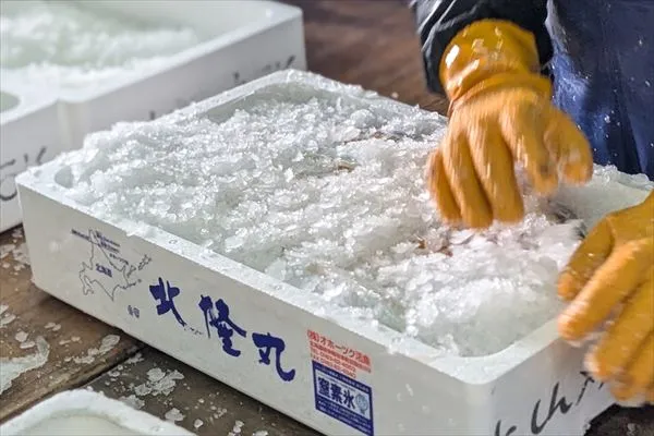 魚介類の鮮度保持に使用するパーシャル窒素氷
