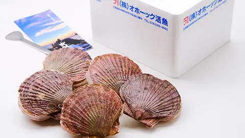ギフト・その他