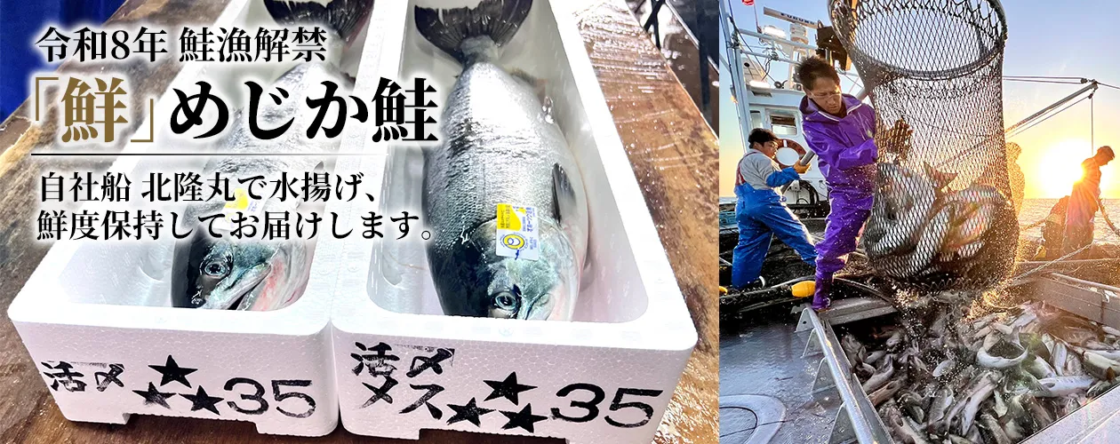 オホーツク産鮮めじか鮭・船上かつシメ隆神